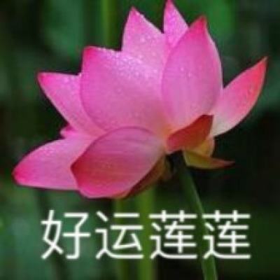 圣诞精灵逃票游戏下载
